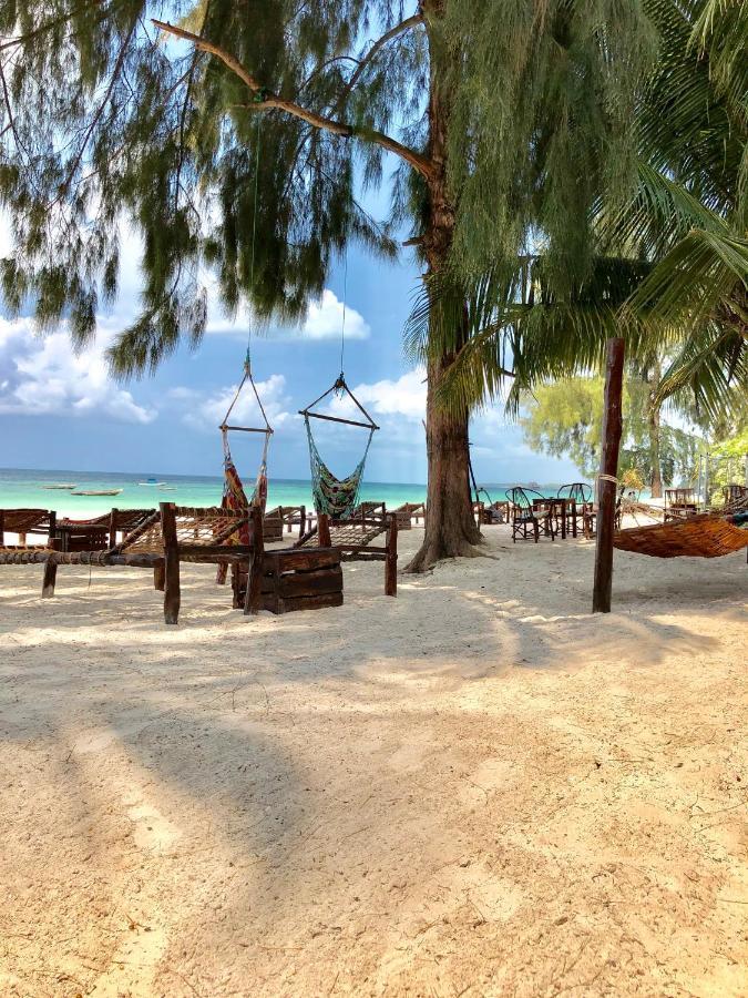 Simba Beach Zanzibar Kiwengwa  Eksteriør bilde