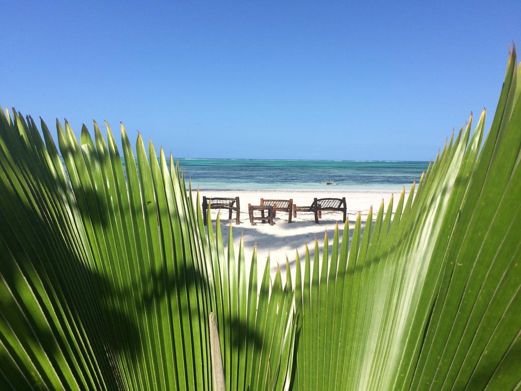 Simba Beach Zanzibar Kiwengwa  Eksteriør bilde