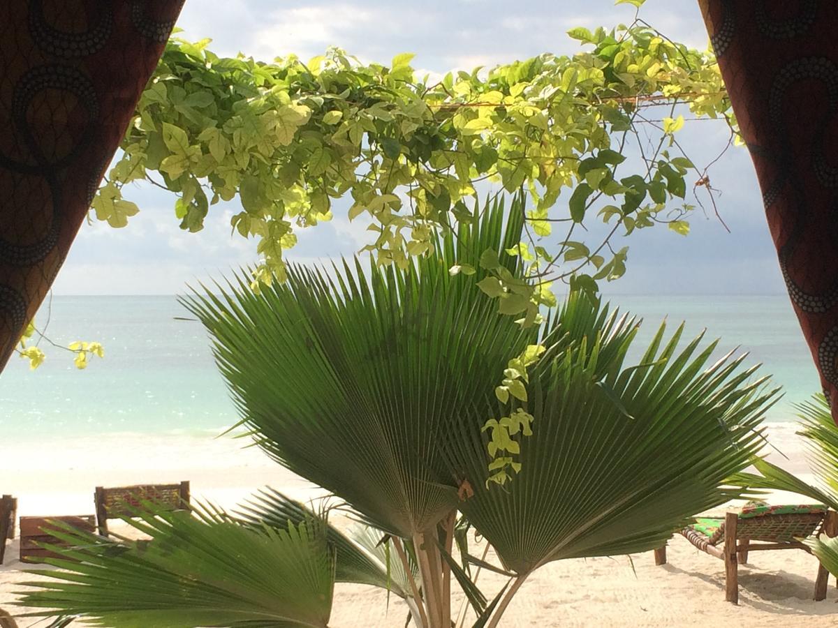 Simba Beach Zanzibar Kiwengwa  Eksteriør bilde