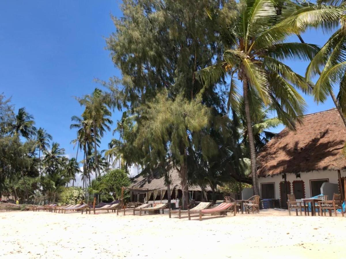 Simba Beach Zanzibar Kiwengwa  Eksteriør bilde