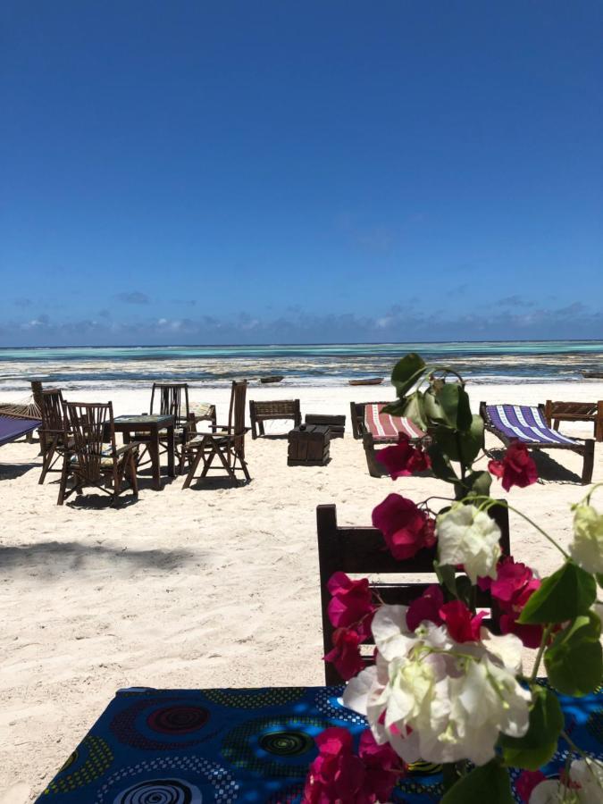 Simba Beach Zanzibar Kiwengwa  Eksteriør bilde