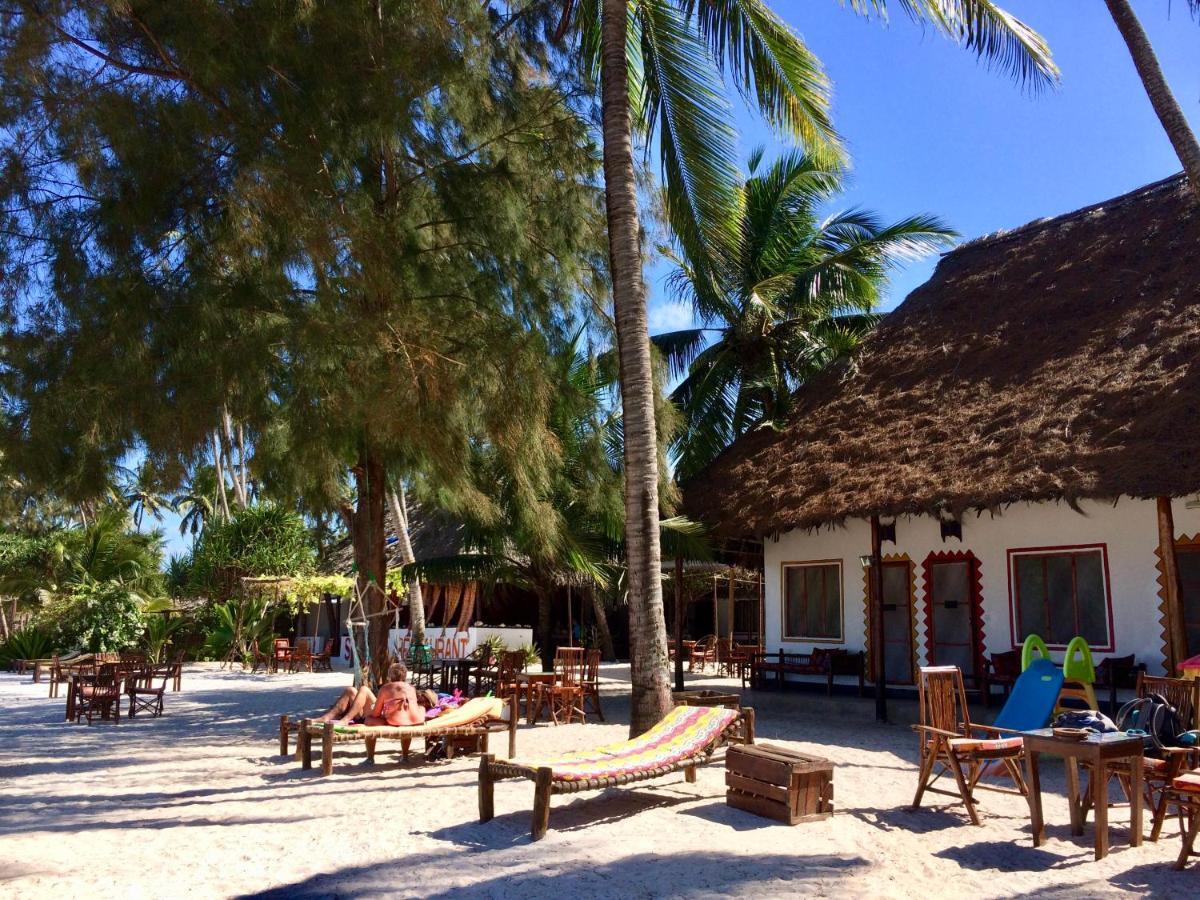 Simba Beach Zanzibar Kiwengwa  Eksteriør bilde
